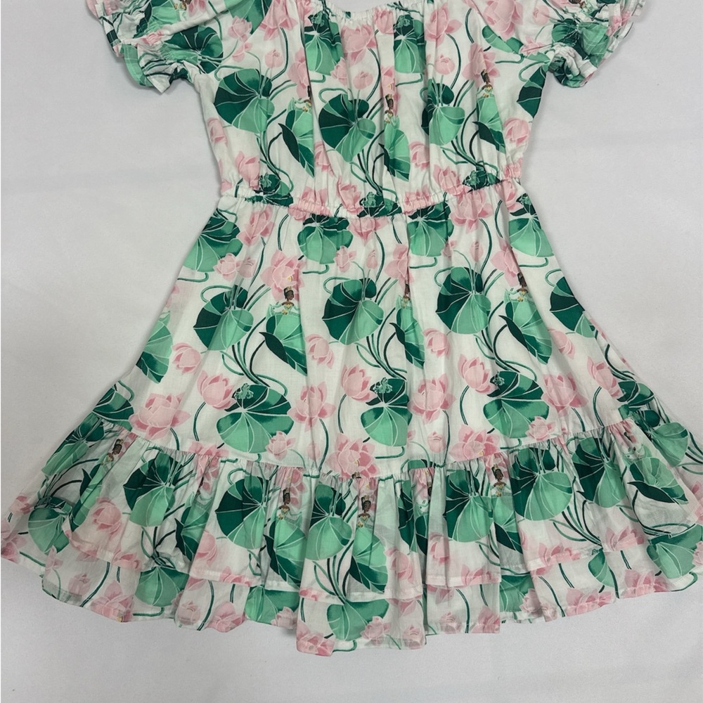 Janie and Jack Green and Pink Floral Dress